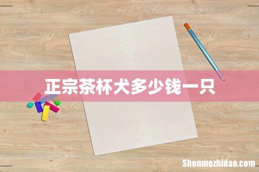 正宗茶杯犬多少钱一只