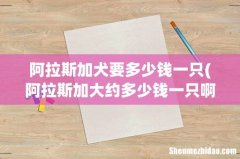 阿拉斯加大约多少钱一只啊？ 阿拉斯加犬要多少钱一只