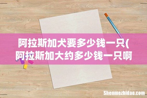 阿拉斯加大约多少钱一只啊? 阿拉斯加犬要多少钱一只