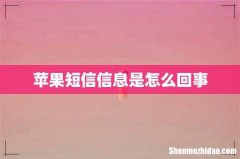 苹果短信信息是怎么回事