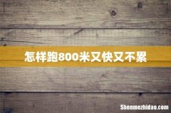 怎样跑800米又快又不累