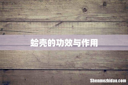 蛤壳的功效与作用