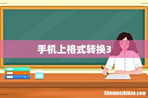 手机上格式转换3