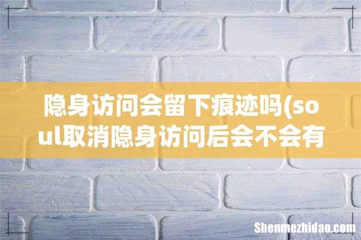 soul取消隐身访问后会不会有之前的记录 隐身访问会留下痕迹吗