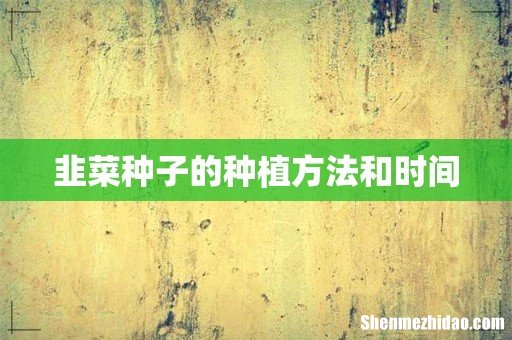 韭菜种子的种植方法和时间