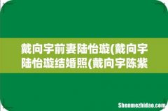 戴向宇陆怡璇结婚照(戴向宇陈紫函结婚几年了 戴向宇前妻陆怡璇)