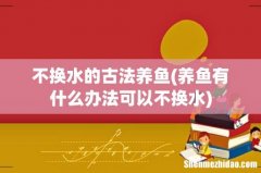 养鱼有什么办法可以不换水 不换水的古法养鱼