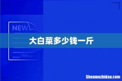 大白菜多少钱一斤