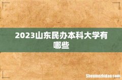 2023山东民办本科大学有哪些