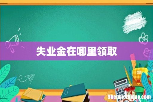 失业金在哪里领取
