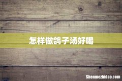 怎样做鸽子汤好喝