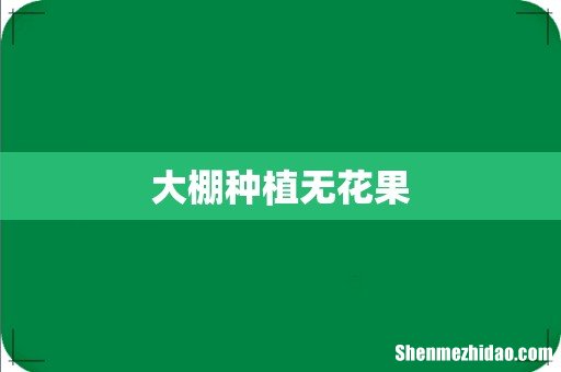 大棚种植无花果