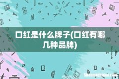 口红有哪几种品牌 口红是什么牌子
