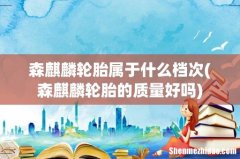 森麒麟轮胎的质量好吗 森麒麟轮胎属于什么档次