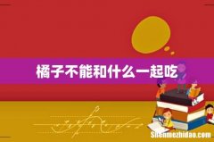 橘子不能和什么一起吃