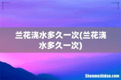 兰花浇水多久一次 兰花浇水多久一次