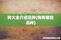 狗有哪些品种 狗大全介绍品种