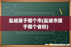盐城市属于哪个省份 盐城属于哪个市