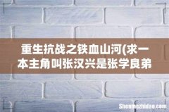 求一本主角叫张汉兴是张学良弟弟的抗日小说的名字 重生抗战之铁血山河