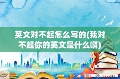 我对不起你的英文是什么啊 英文对不起怎么写的