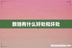 数独有什么好处和坏处