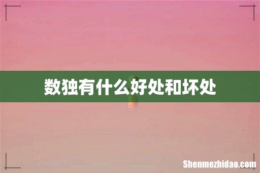 数独有什么好处和坏处