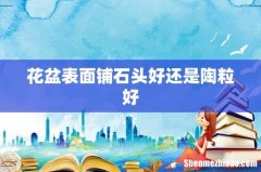 花盆表面铺石头好还是陶粒好