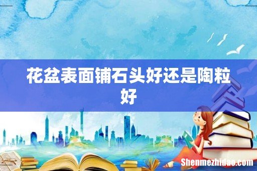花盆表面铺石头好还是陶粒好
