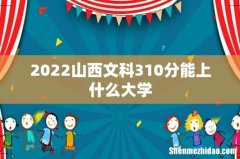 2022山西文科310分能上什么大学