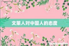 文莱人对中国人的态度