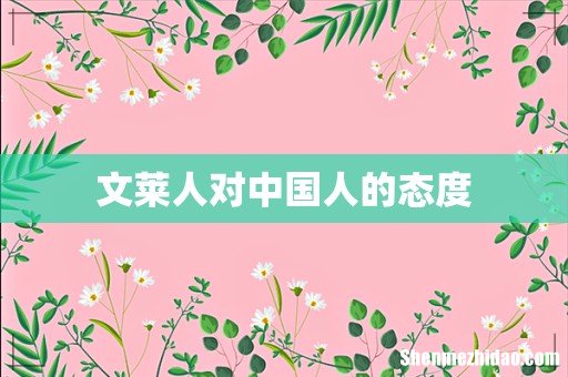 文莱人对中国人的态度