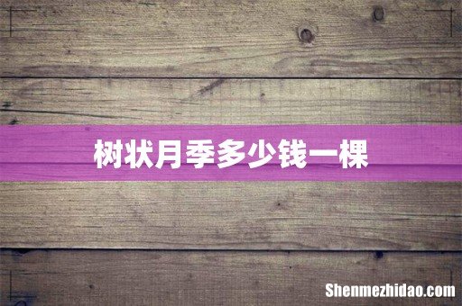 树状月季多少钱一棵