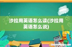 沙拉用英语怎么说 沙拉用英语怎么读
