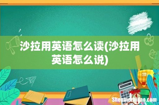 沙拉用英语怎么说 沙拉用英语怎么读