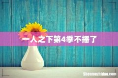 一人之下第4季不播了