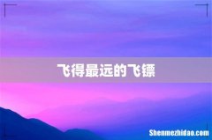 飞得最远的飞镖