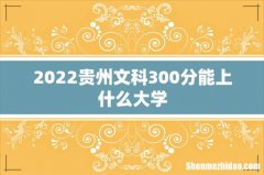 2022贵州文科300分能上什么大学