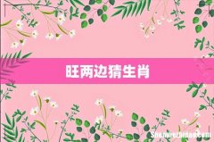 旺两边猜生肖