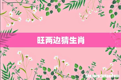 旺两边猜生肖