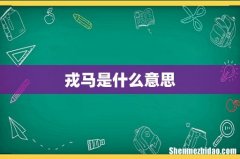 戎马是什么意思