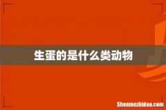 生蛋的是什么类动物