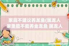 属龙人家里能不能养金龙鱼 属龙人家里可以养金龙鱼吗 家庭不建议养龙鱼