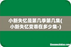 小新失忆变乖在多少集- 小新失忆是第几季第几集