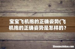 飞机抱的正确姿势是怎样的？为什么宝宝会觉得很舒服？ 宝宝飞机抱的正确姿势
