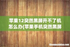 苹果手机突然黑屏。 打不开了怎么回事。也不是没有电？ 苹果12突然黑屏开不了机怎么办