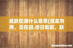 潜龙勿用，见在田.终日乾乾，跃在渊;有悔亢龙，必在天是什么意思 或跃在渊什么意思