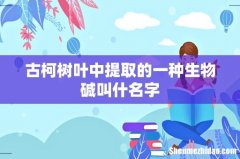 古柯树叶中提取的一种生物碱叫什名字