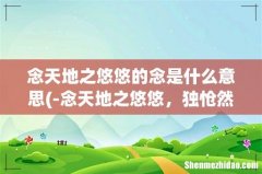 -念天地之悠悠，独怆然而涕下。-是什么意思？ 念天地之悠悠的念是什么意思