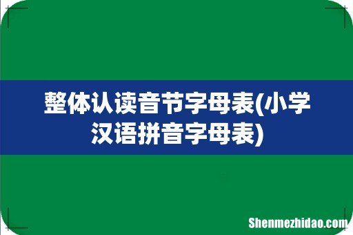 小学汉语拼音字母表 整体认读音节字母表