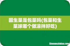 包菜和生菜球哪个做凉拌好吃 圆生菜是包菜吗